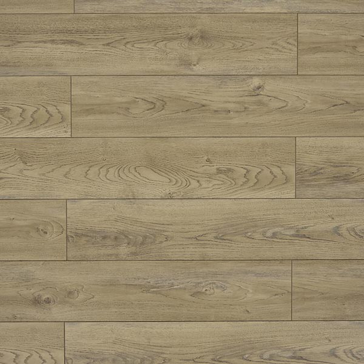 Machiato Laminate